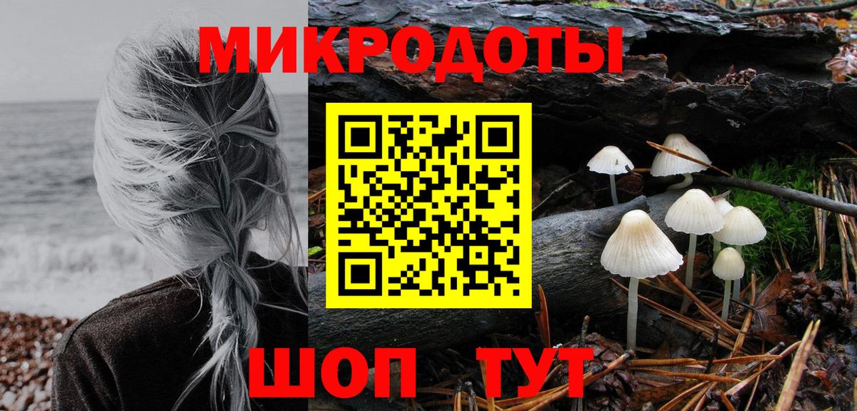 Майский  Галлюциногенные грибы Psilocybine cubensis  Вход с VPN 
